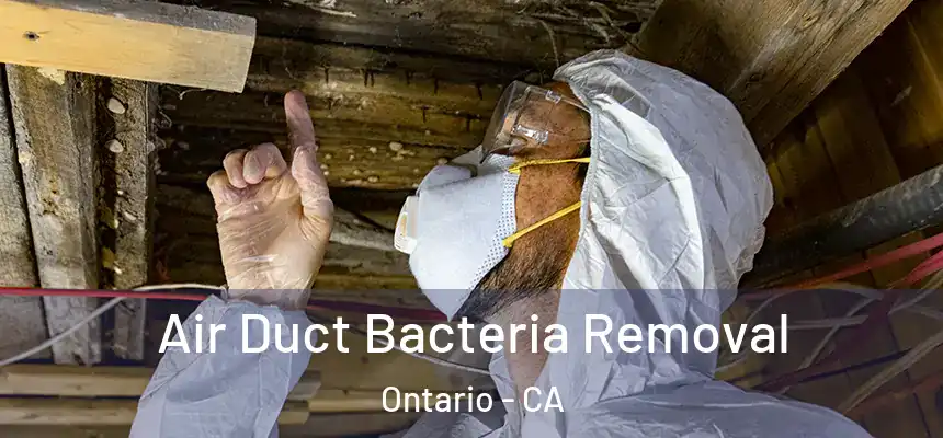  Air Duct Bacteria Removal Ontario - CA