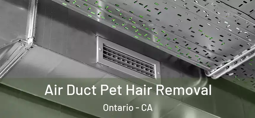  Air Duct Pet Hair Removal Ontario - CA