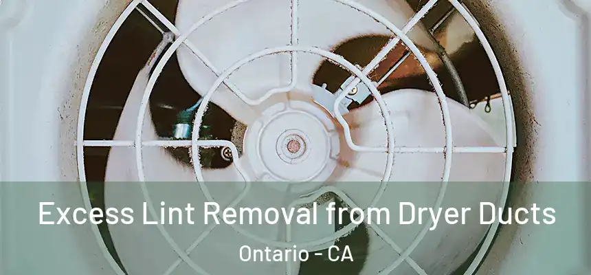  Excess Lint Removal from Dryer Ducts Ontario - CA
