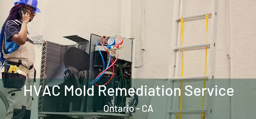  HVAC Mold Remediation Service Ontario - CA