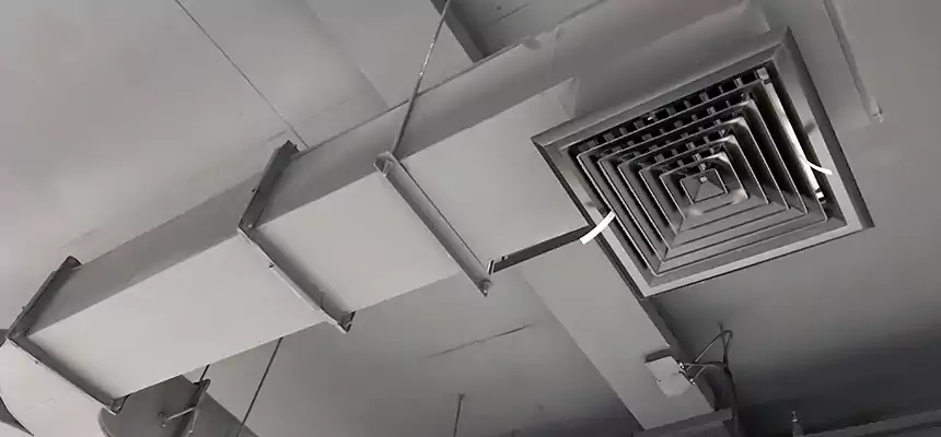 Restorative Allergy Relief Vent Cleaning – Coil, Blower & Housing Detail in Ontario