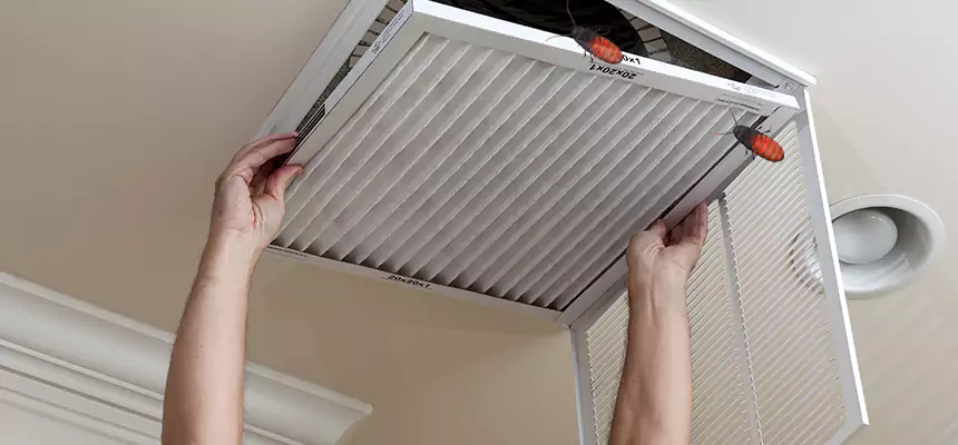 Our Insect Removal from Air Ducts Services in Ontario, CA