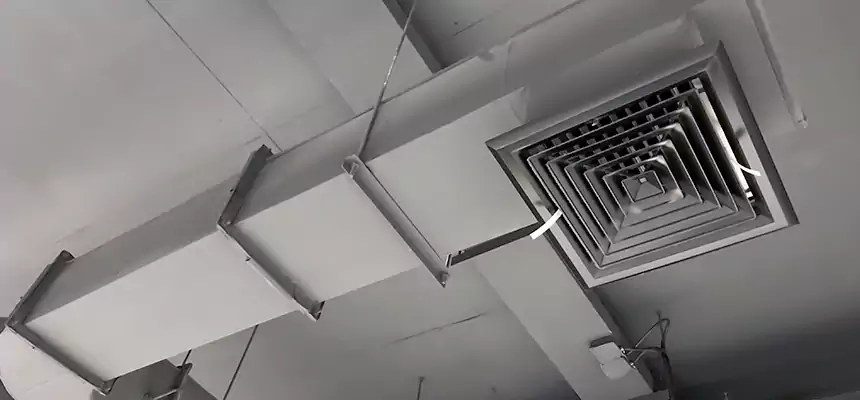 Our Pest Removal From Ducts Services in Ontario, CA