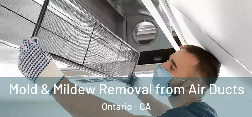  Mold & Mildew Removal from Air Ducts Ontario - CA