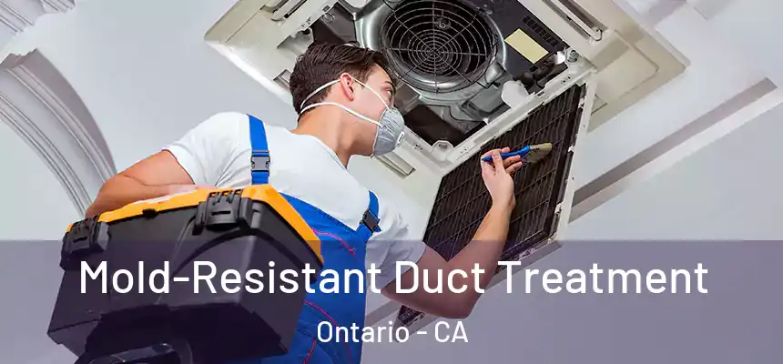  Mold-Resistant Duct Treatment Ontario - CA