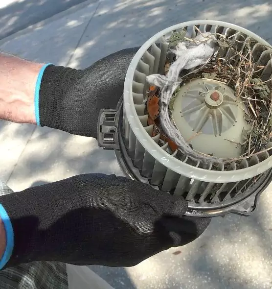 About Air Duct Rat Removal in Ontario, CA