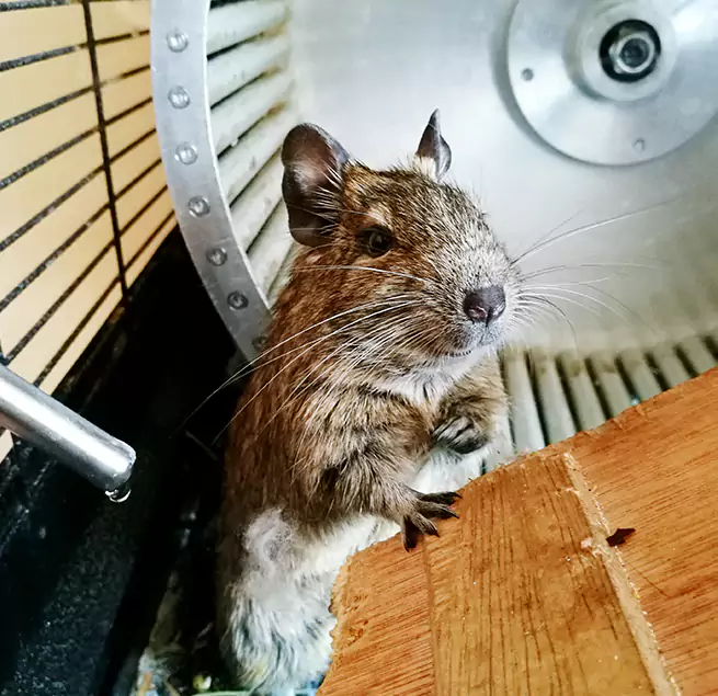 Why Homeowners & Businesses Trust Us Ontario, CA?