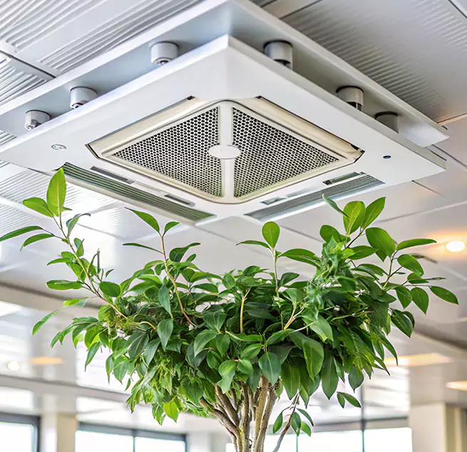 Why Homeowners & Businesses Trust Us in Ontario, CA?